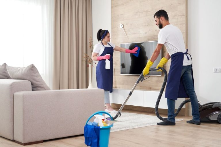 domestic cleaning 3
