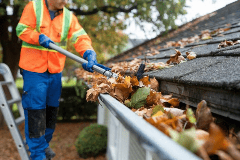 gutter cleaning 3