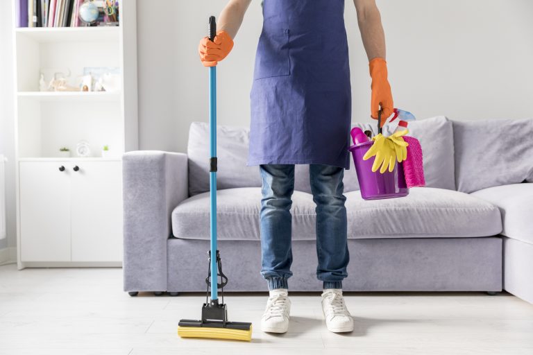 domestic cleaning 2